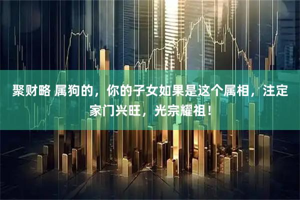 聚财略 属狗的，你的子女如果是这个属相，注定家门兴旺，光宗耀祖！